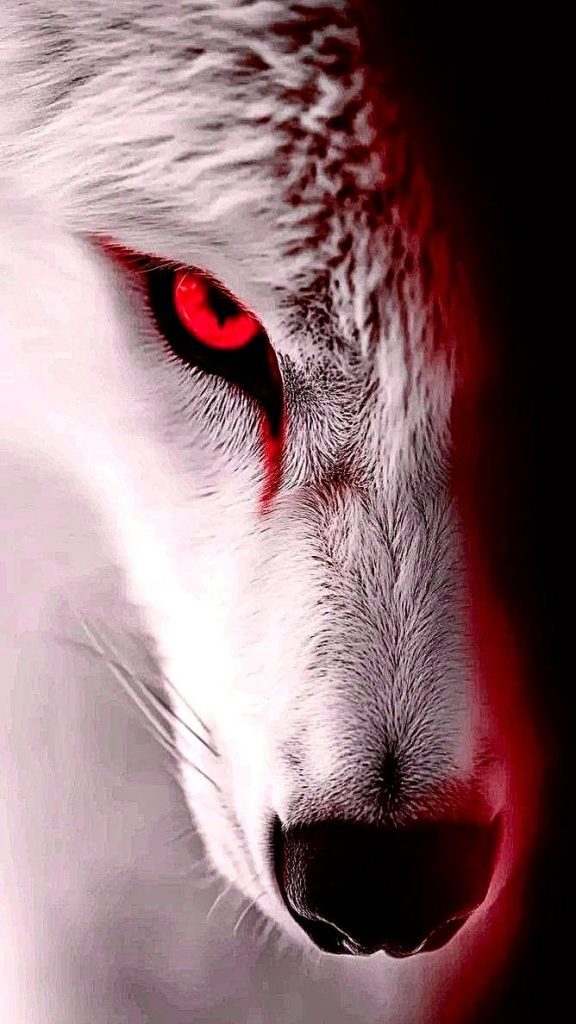 attitude dp, attitude dp for whatsapp, attitude dp for instagram, attitude dp hd, cool attitude dp, stylish attitude dp, attitude profile picture, attitude dp images, attitude dp photo, swag dp