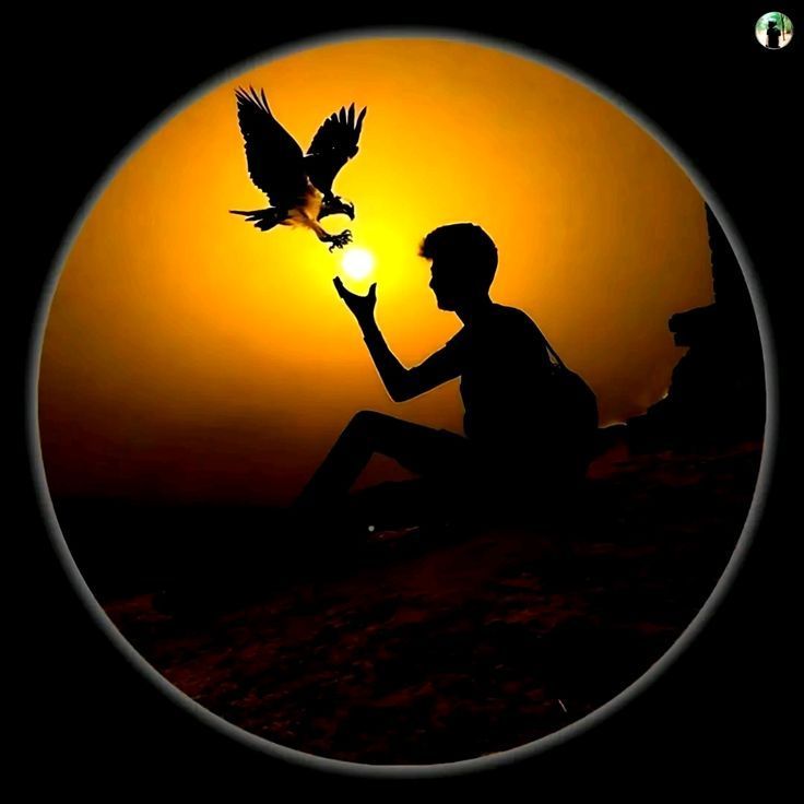 Facebook Dp For Boys Pic Images Photos Pics Pictures facebook dp for boys, boys facebook dp, boys dp for facebook, stylish dp for boys, cool dp for boys, attitude dp for boys, boys dp hd, facebook profile picture boys, boys dp images, boys dp photo