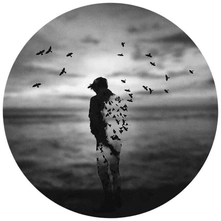 no dp, no dp pic, no dp image, no dp photo, no dp for whatsapp, no dp for instagram, blank dp, profile without dp, no profile picture, hidden dp