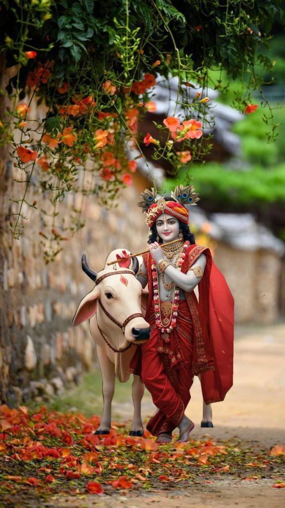cute krishna dp, krishna dp, krishna dp hd, cute krishna images, krishna photos, krishna pics, krishna wallpapers, bal krishna dp, little krishna images, lord krishna dp