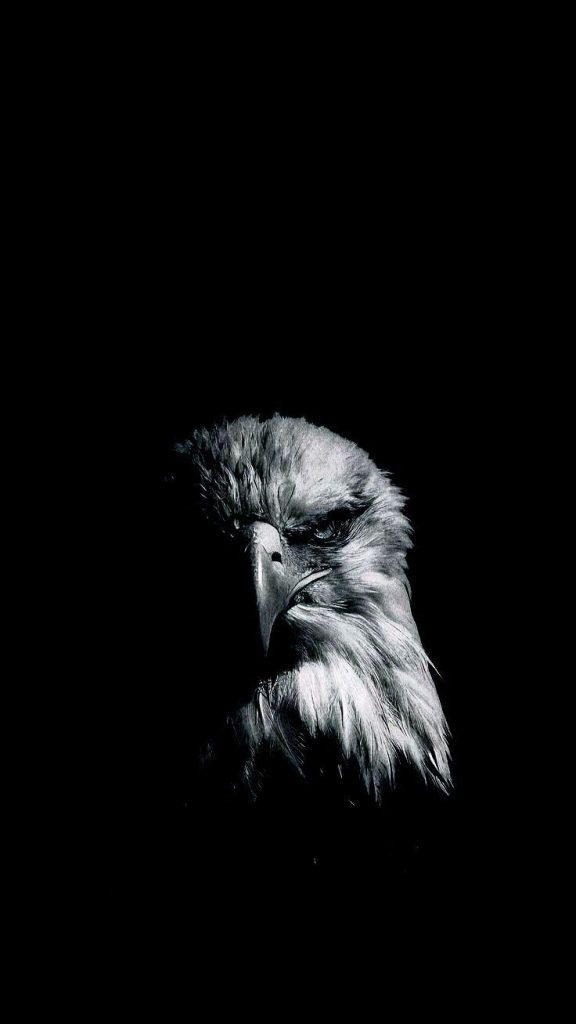 sad dp, sad dp for whatsapp, sad dp for instagram, sad dp hd, sad profile picture, alone sad dp, emotional dp, broken heart dp, sad dp images, sad dp photo