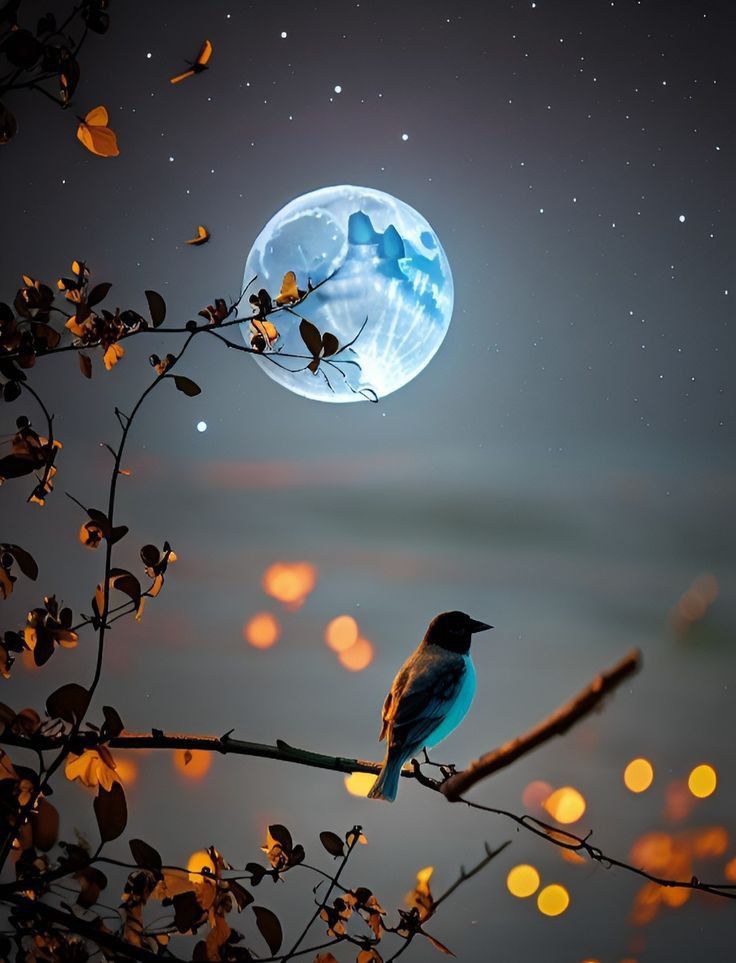 Unique DP for WhatsApp Images Photos Pics Pictures Wallpapers unique dp for whatsapp, whatsapp dp, whatsapp dp hd, stylish whatsapp dp, cool whatsapp dp, cute whatsapp dp, attitude whatsapp dp, whatsapp profile picture, whatsapp dp images, whatsapp dp photo