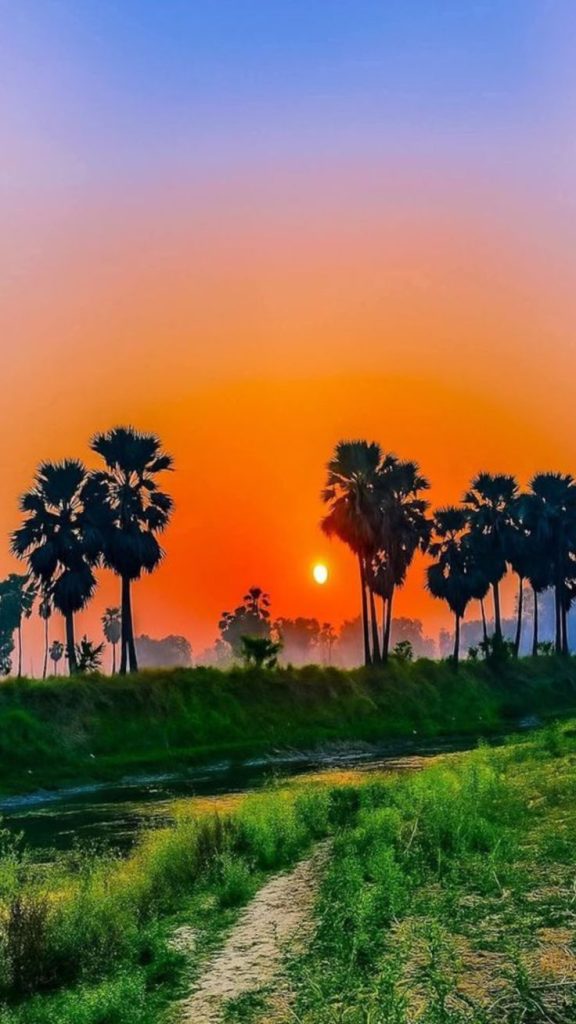 Unique DP for WhatsApp Images Photos Pics Pictures Wallpapers sky unique dp for whatsapp