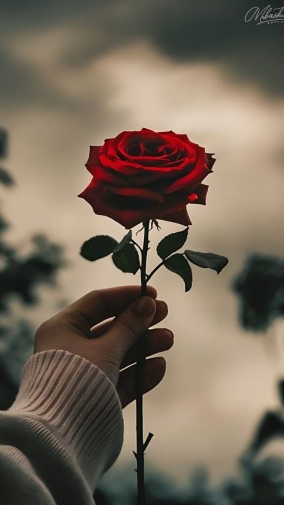 Unique DP for WhatsApp Images Photos Pics Pictures Wallpapers unique dp for whatsapp, whatsapp dp, whatsapp dp hd, stylish whatsapp dp, cool whatsapp dp, cute whatsapp dp, attitude whatsapp dp, whatsapp profile picture, whatsapp dp images, whatsapp dp photo