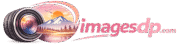 Best DP Images For WhatsApp & Instagram 2026 | ImagesDp