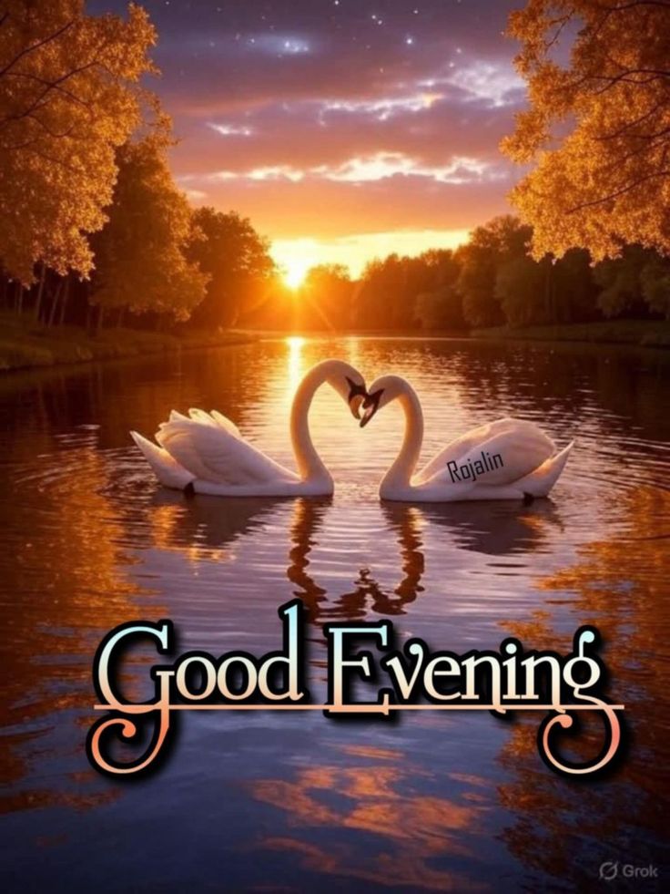good evening images, good evening pics, good evening photos, good evening pictures, good evening wallpapers, beautiful good evening images, hd good evening images, good evening wishes images, evening images, good evening dp