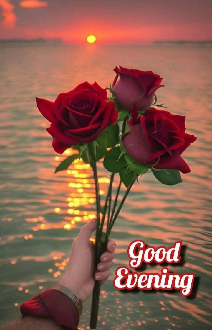 good evening images, good evening pics, good evening photos, good evening pictures, good evening wallpapers, beautiful good evening images, hd good evening images, good evening wishes images, evening images, good evening dp