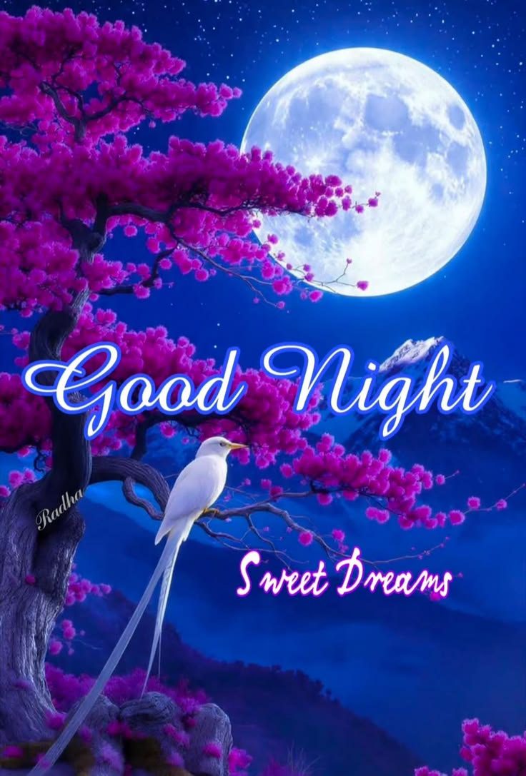 good night images, good night pics, good night photos, good night pictures, good night wallpapers, beautiful good night images, hd good night images, good night wishes images, good night dp, night images