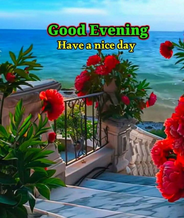 good evening images, good evening pics, good evening photos, good evening pictures, good evening wallpapers, beautiful good evening images, hd good evening images, good evening wishes images, evening images, good evening dp