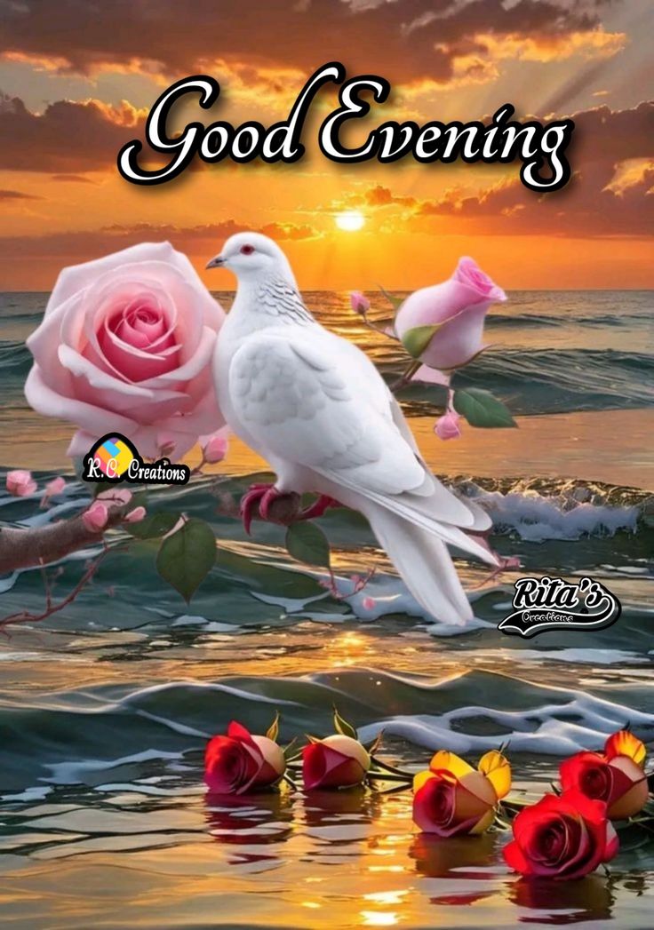 good evening images, good evening pics, good evening photos, good evening pictures, good evening wallpapers, beautiful good evening images, hd good evening images, good evening wishes images, evening images, good evening dp